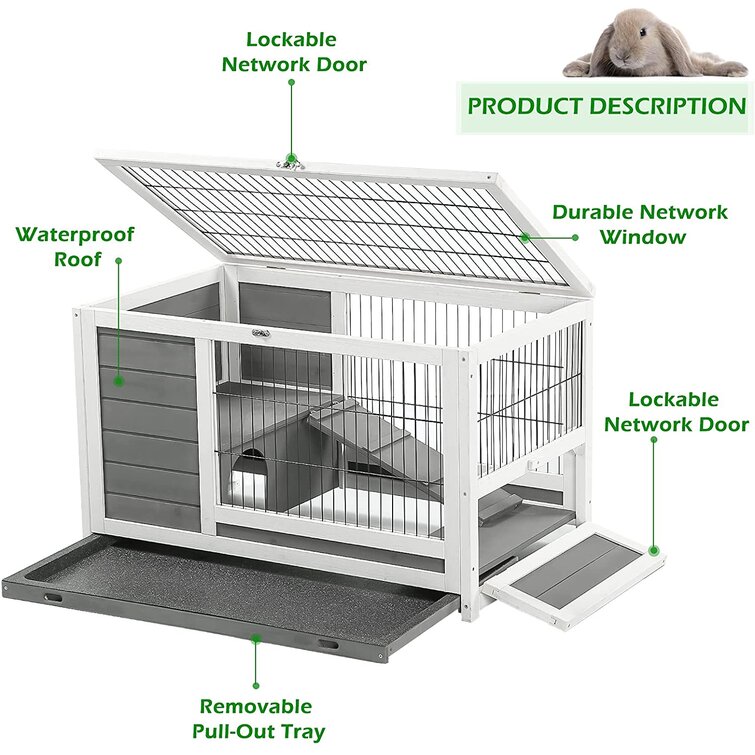 House clearance rabbit cage